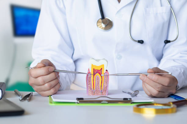 Best Emergency Orthodontic Services in Fox Crossing, WI